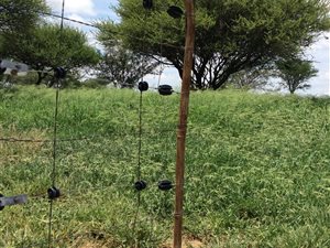 171 ha Farm in Bendor