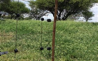 171.3 ha Farm in Bendor
