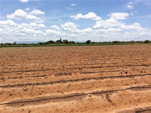 171 ha Farm in Bendor