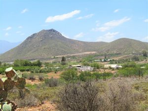 5 ha Land available in Calitzdorp