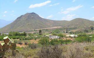 5 ha Land available in Calitzdorp
