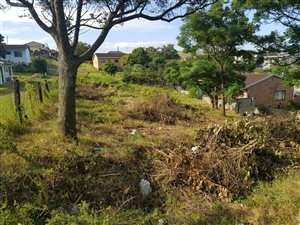 1015 m² Land available in Townview