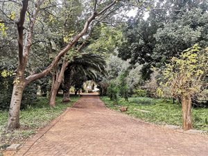 2.4 ha Land available in Spitskop