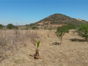 9.5 ha Land available in Bon Accord