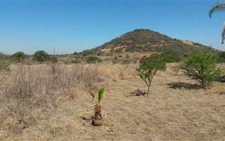 9.5 ha Land available in Bon Accord