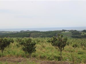 168 ha Farm in Port Edward