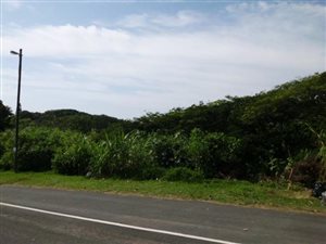 731 m² Land available in Melville