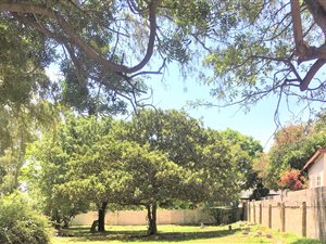 1491 m² Land available in Ferndale