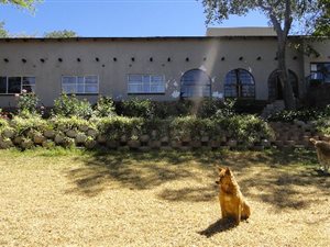 25 ha Farm in Buffelspoort
