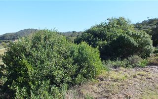 689 m² Land available in Great Brak River