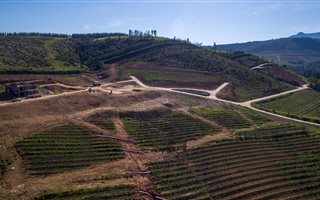 403 m² Land available in Stellenbosch Central