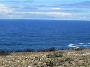 980 m² Land available in Village On Sea