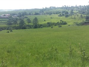 4066 m² Land available in Inchanga