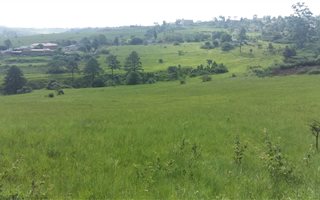 4066 m² Land available in Inchanga