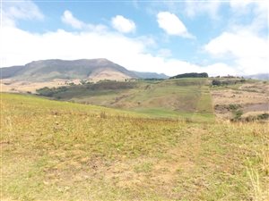 1214 m² Land available in Cathkin Estate