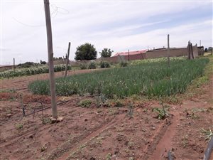 2 ha Farm in Ophir AH