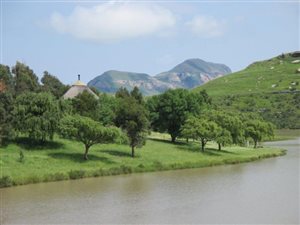 948 ha Farm in Harrismith