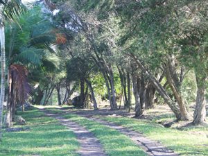 21 ha Farm in Port Edward