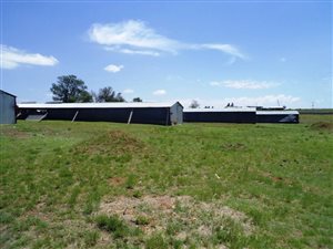 8.8 ha Farm in Lindequesdrif