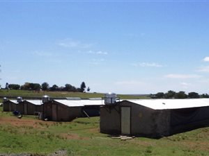 8.8 ha Farm in Lindequesdrif