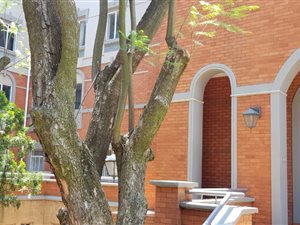 376 m² Office Space in Houghton Estate