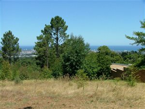 1610 m² Land available in Worlds View