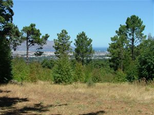 1610 m² Land available in Worlds View