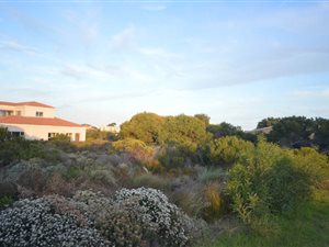 1130 m² Land available in Bettys Bay