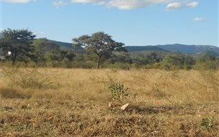 465 m² Land available in Lebowakgomo