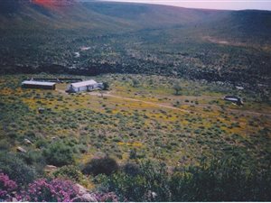 5 m² Farm in Calvinia