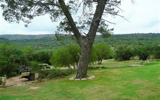 Game Farm in Winburg