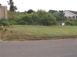 1115 m² Land available in Desainagar