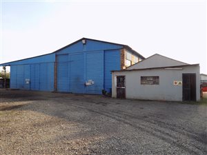 Farm in Bapsfontein