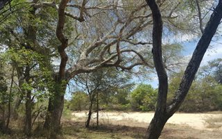 8929 m² Land available in Hoedspruit