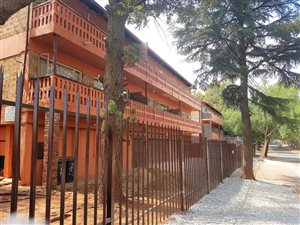 1 Bed Apartment in Windsor East