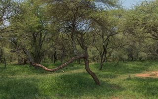 179 ha Farm in Brits