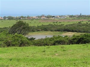 77.7 ha Farm in Kwelera