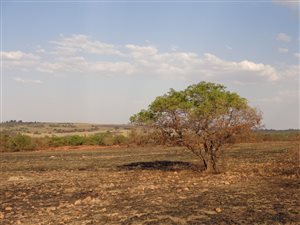5 m² Land available in Donkerhoek