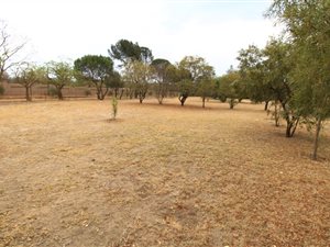 8556 m² Land available in Chartwell