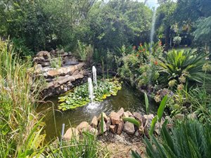 1 ha Farm in Mnandi AH