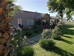 29 m² Farm in Klerksdorp