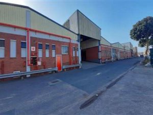 622 m² Industrial space in New Germany