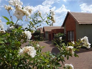 1 Bed Apartment in Boardwalk Meander