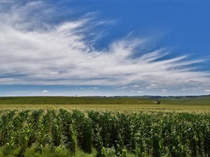 1725 ha Farm in Ermelo