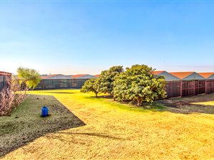 21.6 ha Farm in Bapsfontein