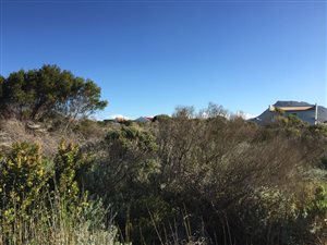 660 m² Land available in Bettys Bay