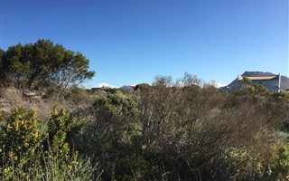 660 m² Land available in Bettys Bay