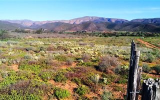 1 ha Land available in De Rust