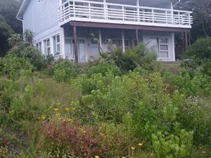 5 Bed House in Brenton on Sea