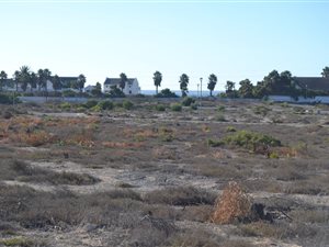 484 m² Land available in Golden Mile